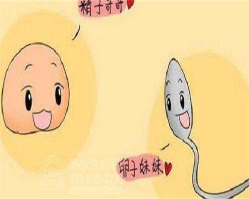 广州试管成功率高的医院汇总，内附成功率、费用预估