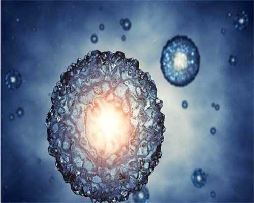 广州供卵试管代怀，广州供卵试管代怀价格