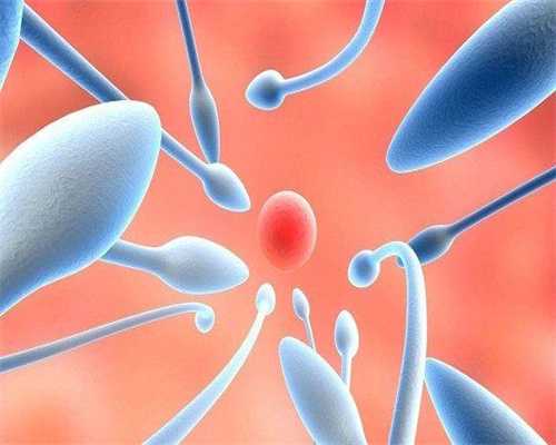 广州代生的花费-广州供卵代生是否合法？