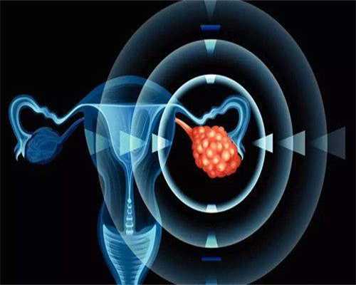 广州供卵机构首来坤和助孕,广州供卵机构来坤和助孕靠谱