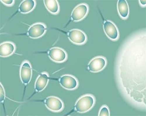 FSH过高，还可以珠海试管吗?