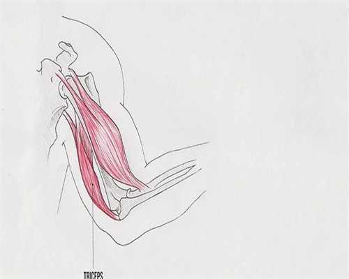 广州代生生孩子，广州市生育保险待遇