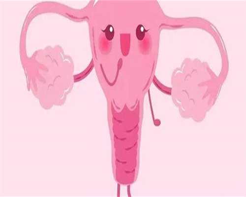 广东专业代生，广东产假178天是真的吗？2026广东最新产假规定？