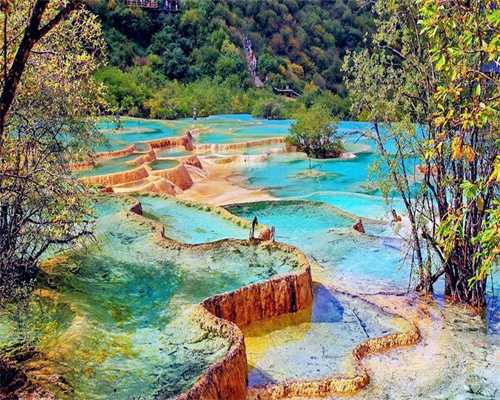 广东代生机构-广州代生收费标准