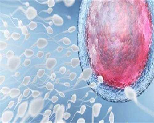 试管供卵第一广州三甲助孕选