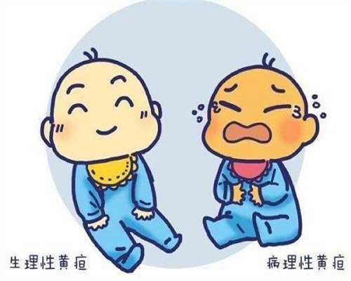 广州正规供卵公司，广州供卵中心