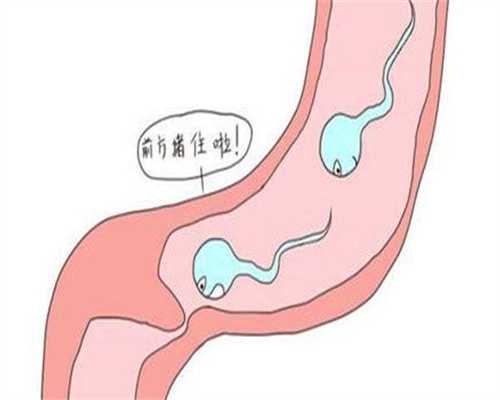 广州医院包生男孩费-了解广州代生医院