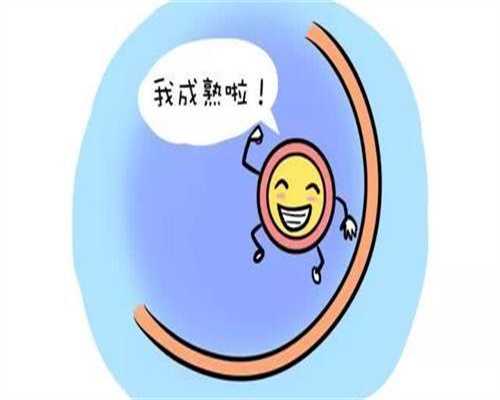 广东供卵产子价格，广东湛江供卵医院有哪几家？