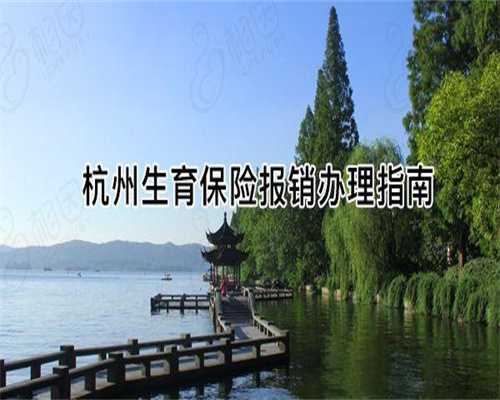 广州供卵试管公司哪家好,广州助孕机构哪家供卵好