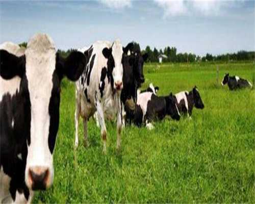 广州代生正规吗-广州代生产子公司在哪里？