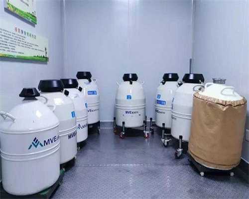 广东捐卵标准，广东新焦点报道广东电视台播出—广东省妇幼保健院