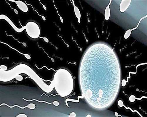 中山大学附属第六医院第三代试管婴儿供卵生男孩费用一览？生男孩费用明细？