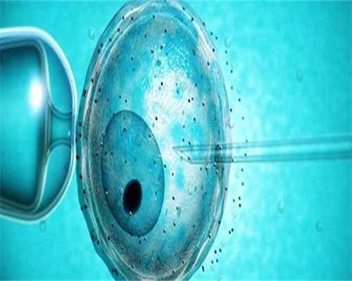 广州金贝供卵价格，金贝供卵的费用大概多少