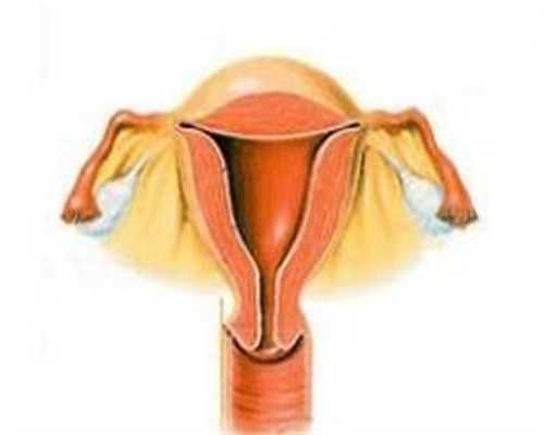 广州代生那家好-广州试管代生那家医院正规？