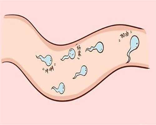 广东国内代怀-广州借卵代怀的费用