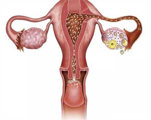 想找广州代生，@广州人520想领结婚证留意这点…