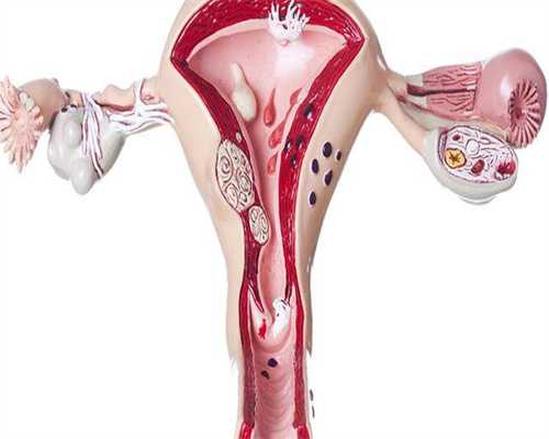 供卵广东代孕联系方式，广东哪里有供卵(广州哪里有供卵的地方)