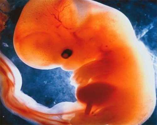 广东广州试管婴儿医院,广州百汇试管婴儿