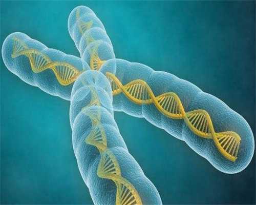 广州捐卵正规，广州眉毛种植哪家医院好